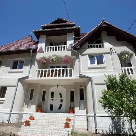 Πανσιόν Badea Gheorghe Agro